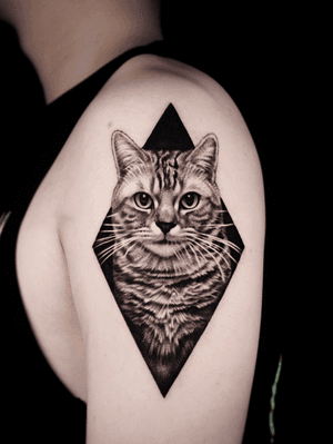 Cat on arm.
