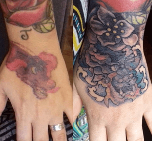 Cover up foo dog 