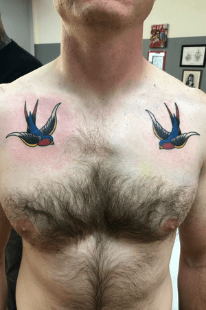 Old school traditional swallows on chest