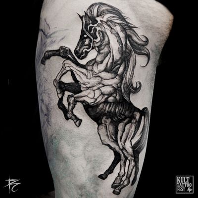 #sleipnir #nordic #odin #horse #blackwork #linework #black