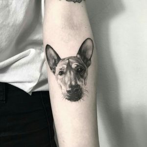 #ink #inked #dogportrait #blackandgrey #blackandgreytattoos #tattoo #tattooart #realistic #realism #realismtattoo #realismo 