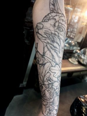 Foxy and dormouse sleeve started. 