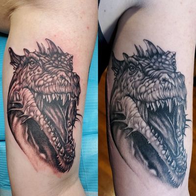 Healed and fresh dragon 