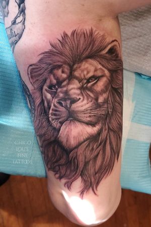Lanister lion 
