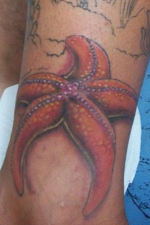 #estreladomar #tattooart 