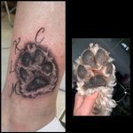 Paw print 🐾 ▪️Tattoo @noemikovacstattoo ▪️Permanent Make Up @noemikovacsmakeup ▪️Tattoo & Fitness @noemikovacsmodel ▪️noemikovacstattoo@gmail.com ▪️+36 70 359 9493 🇭🇺 #worldfamousink #pawprinttattoo #pawprint #realistictattoo #realisticpawtattoo #Tattoo #inked #tattooed #tattooideas #tattoosketch #tattoos #tattoodesign #familytattoo #fineart #art #finelinetattoo #tattoocommunity #tattoostyle #tattooed #realistictattoo #tattoofashion #blackandgreytattoo #tattoostudio #colortattoo #mandala #tribaltattoo #smalltattoos #fullsleeve #life #noemikovacstattoo #noemikovacs
