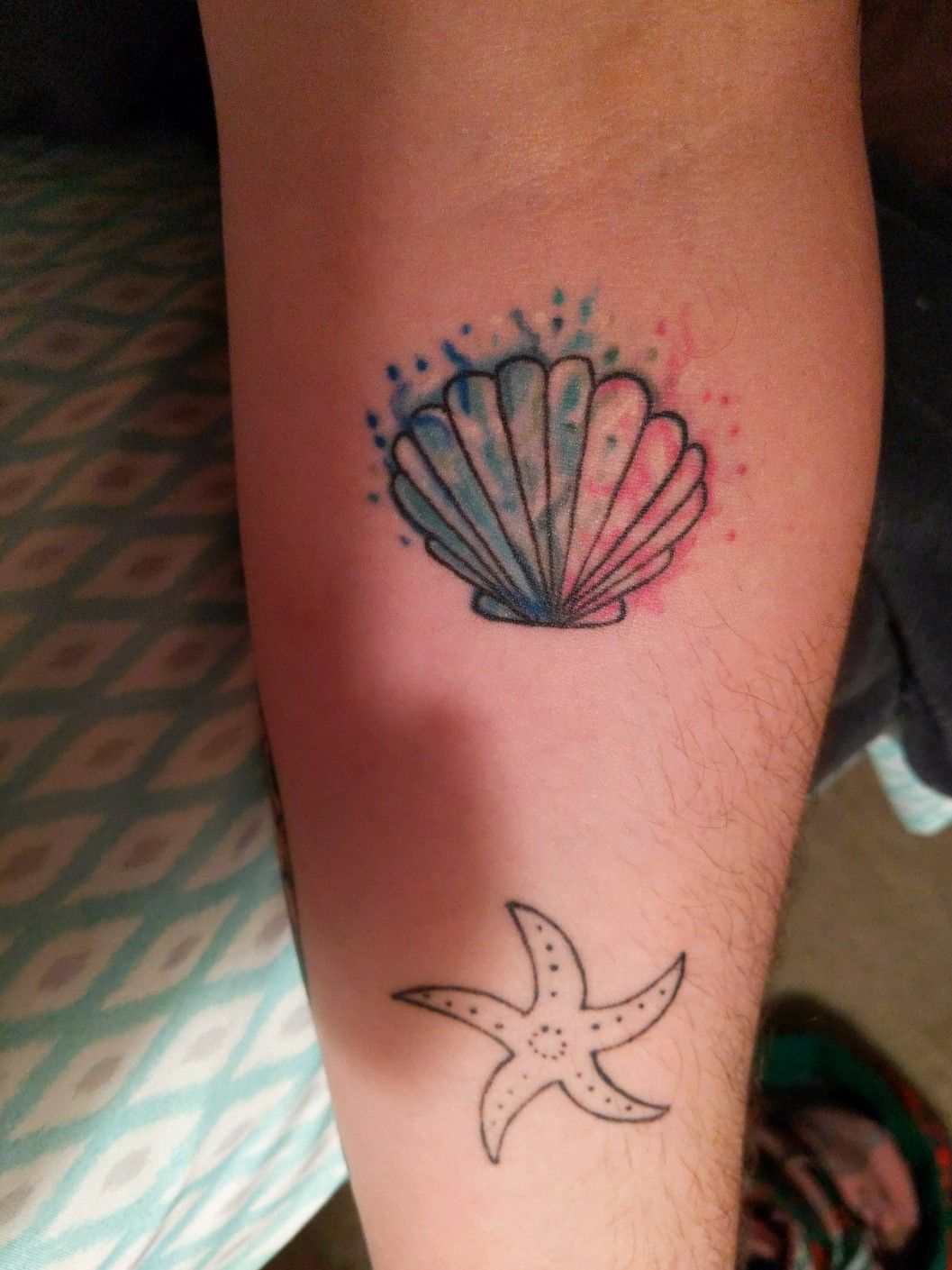Tattoo uploaded by Joseph Muscarella • Seashell • Tattoodo