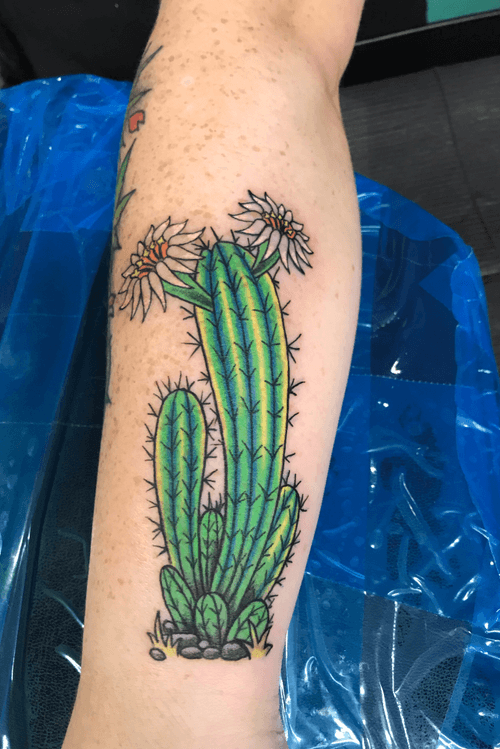 Cactus from the other night .... NOW BOOKING FOR MAY AND JUNE 