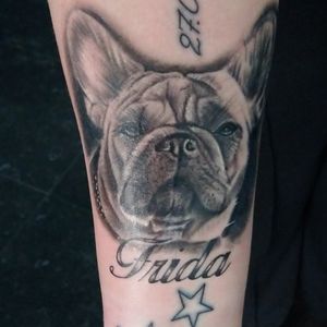 French bulldog #frenchbulldog #frenchbulldogtattoo #frenchie #frenchietattoo 