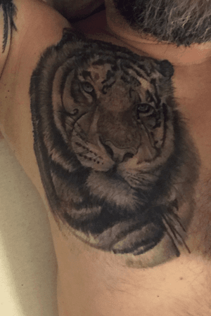 Tiger own design 