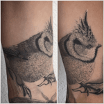 @realistic.ink @tattoorealistic @tattoodo #tattoooftheday #photooftheday #tattoo #tatouage #realistic #realisticink #realistictattoo #tattoorealistic #realism #realismtattoo #mesange #bird #birdtattoo #piaf #piaftattoo #cuicui #blackandgreytattoo #lausanne #tattoolausanne #lausannetattoo #lespetitspointsdefanny 