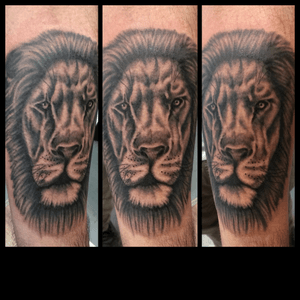 Lion piece..