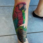 Realistic iguana and parrot #tattooartist #realistictattoos #realism #realismo 