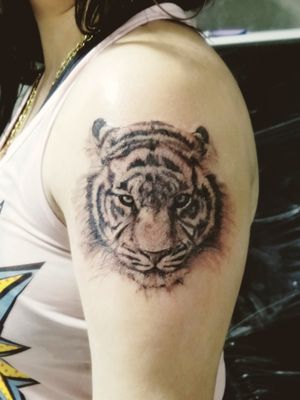 Tiger done with 3RL.