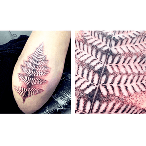 Dotwork fern tattoo. Wykonanie @kudi_tattoo