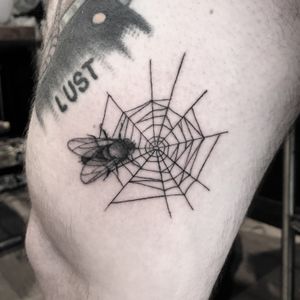 #totemica #tunguska #black #fly #spiderweb #walkin #tattoo #originalsintattooshop #verona #italy #blackclaw #blacktattooart #tattoolifemagazine #tattoodo #blackworkers