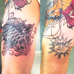 Koi cover up!
