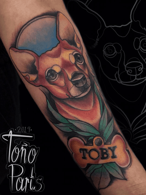 Tatuaje como homenaje a un compañero canino, “entre más conozco a las personas.... más quiero a mi perro.” Espero les guste y recuerden que tengo citas en Bogota hasta el 29 de mayo, luego Medellín del 30 al 5 de junio. Citas al WhatsApp 3114674508 📲🏆✨ @bink_bang_club @sofiaavelino02 #neotradi #tatuajesneotradicionales #tatuajeneotradicional #dog #neotrad #chapinero #bogota #colombia