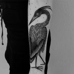 Crane tattoo by Laura Yahna #LauraYahna #cranetattoos #crane #birds #feathers #wings #flying #animal #nature #blackwork #illustrative