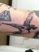 Small black and gray swallow, tattoo by DG 