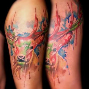 Watercolour deer