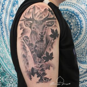 deer and details