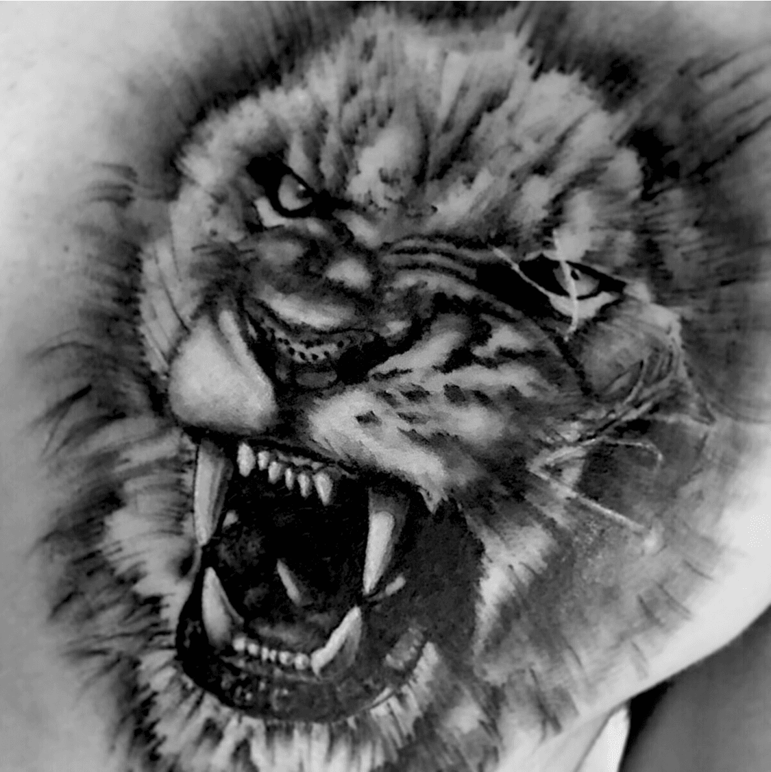 Angry Lion tattoo designs  Playground
