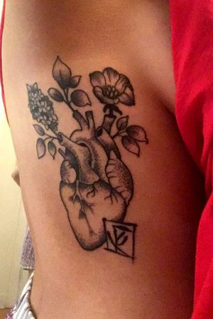 Rib tattoo, human heart with nicandras and irises.  (Done at Skin Abbraisions in Oak Park, IL) 