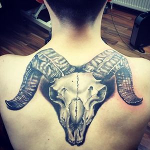 My first Tattoo 🙏Aries Skull on the upper back 💀It took 9 hours to finish 😅😁#Aries #backtattoo #firstattoo #skull 