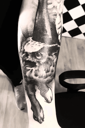Black and grey owl illustrative realism forearm tattoo