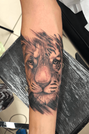 Half Tiger Half Lion