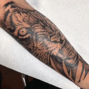 Fresh half tiger face on the outer lower arm. Sarah has some other tattoos and this was a great way to maximize her space with a tiger. #blackandgrey #tiger 