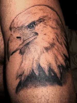 Black and grey, realistic American Bald Eagle.