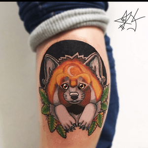 Panda rojo #tatu #pandarojotattoo #tatuajes #tattooredpanda #tattoo #tattooredpandaneotraditional #animaltattoo #redpanda #tatuajeneotraditional