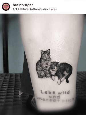 Mini portrait #smalltattoo #mini #cat #catportrait #portrait #minimal #tatuajespequenos #tatuajesfinos #fino #elegante 