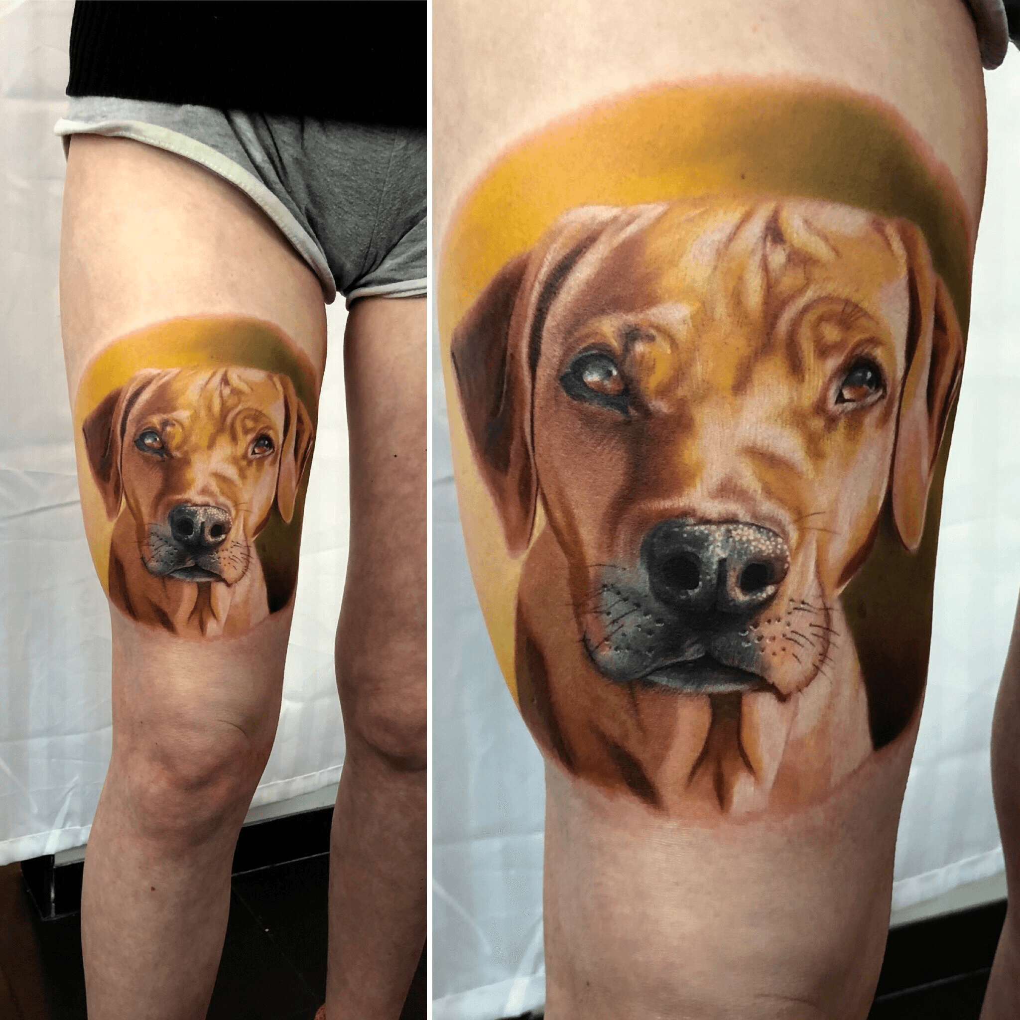 Rhodesian Ridgeback Dog Solid Water Resistant Temporary Tattoo Set Fake  Body Art Collection  Black  Walmartcom
