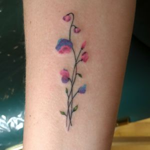 #tattoo #tattoos #tattooedgirls #fusionink #flowertattoo #flowers #sweetpea #small #nhtattoo #greenlandnh #splatterpalettetattoo #illustrativetattoo #illustrative #smalltattoos #feminine #femininetattoo 