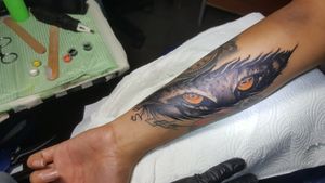Eye tigers and feather https://www.facebook.com/605512329787233/posts/837126846625779/ Dink Tattoo Managua, Nicaragua Cel 505 83205513 