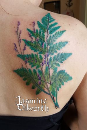 Fern tattoo done a few days ago. A little red atm but colors will brighten!#tattoo #tattooartist #femaletattooartist #fern #ferntattoo #plant #planttattoo #backtattoo #shouldertattoo #femanine #femaninetattoo #colortattoo #green #greenland #greenlandnh #nh #newhampshire #geneva #genevany #ny #newyork #fingerlakes #dovernh #kittery #boston #newenglandartist