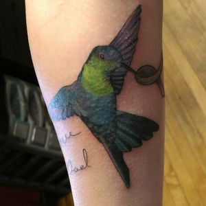 #tattoo #tattoos #tattooedgirls #fusionink #ink #hummingbird #hummingbirdtattoo #greenlandnh  #nhtattoo #bird #birdtattoo #splatterpalettetattoo