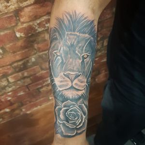 Lion and Rose scar
