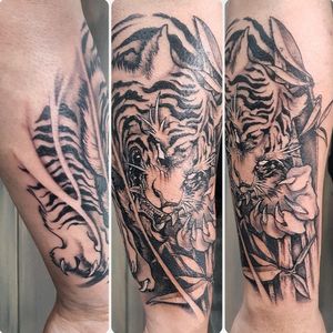 Tiger in black and grey style
