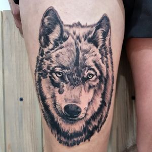 Wolf in realism style