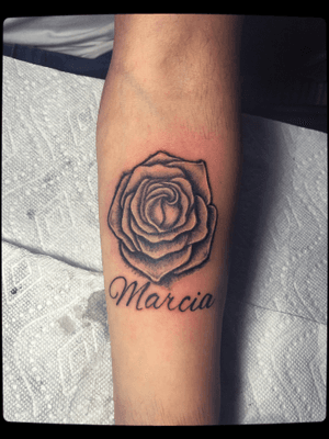Rose marcia 