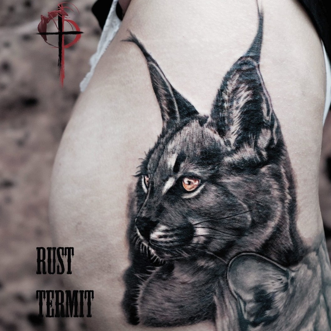 Tattoo uploaded by Ruslan Timer • Сontinue cat theme leg. One session.Продолжаем кошачью ногу. Один сеанс. #tattoo #ta2 #tattz #inkwork#inkstagram #inkart #realistictattoo #realism #blackandgrey #greywash#caracal #caracaltattoo #Cheyenne ...