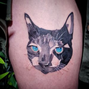 Cat tattoo in geometric color style