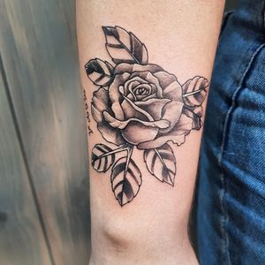 Rose in black and grey