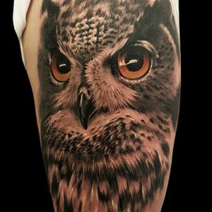 By David 
#owl #realism #owltattoo #nature #bird #raptor #naturetattoo #blackandgrey #ornithology