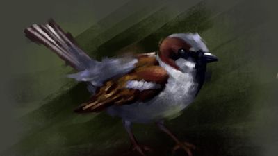 Memories of childhood. #sparrow #digitalpainting #digitalartist #digitalart #fineartist #oilpainting #oilpainter