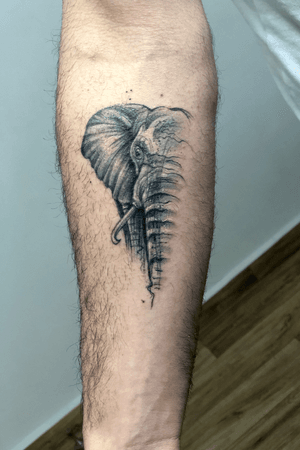 Sketchy elephant